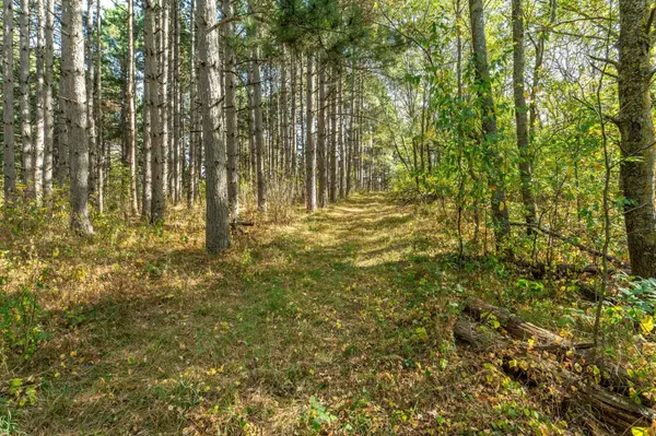 TBD Rocky Ridge RD, Henning, MN 56551