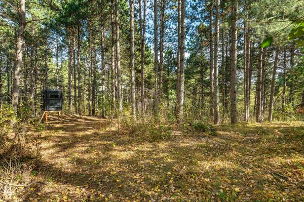 TBD Rocky Ridge RD, Henning, MN 56551