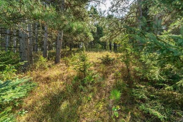 TBD Rocky Ridge RD, Henning, MN 56551