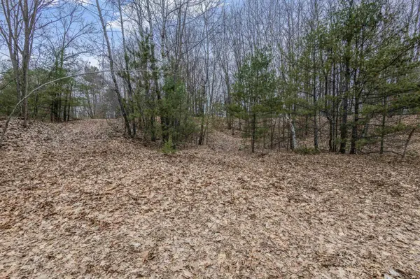N WHITE POTATO LAKE RD #1, Pound, WI 54161