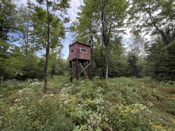 W14748 2ND AVE, Gleason, WI 54435