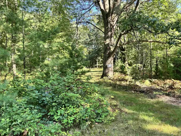 MAPLEWOOD LN, Sobieski, WI 54171-9999