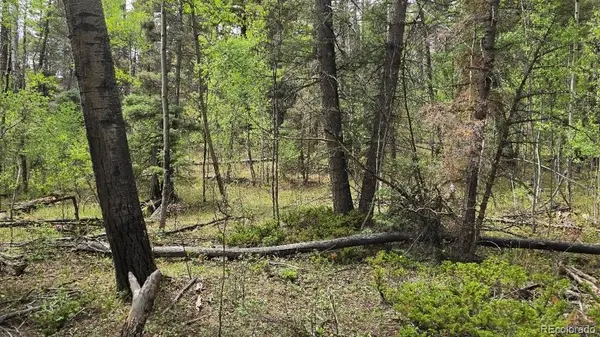 Lot 6269 Shioshita RD, San Luis, CO 81152