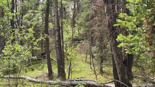 Lot 6269 Shioshita RD, San Luis, CO 81152