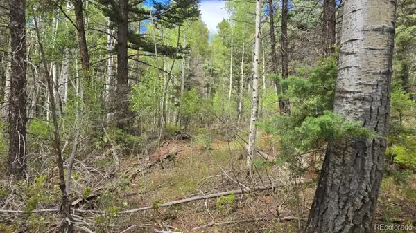 Lot 6269 Shioshita RD, San Luis, CO 81152