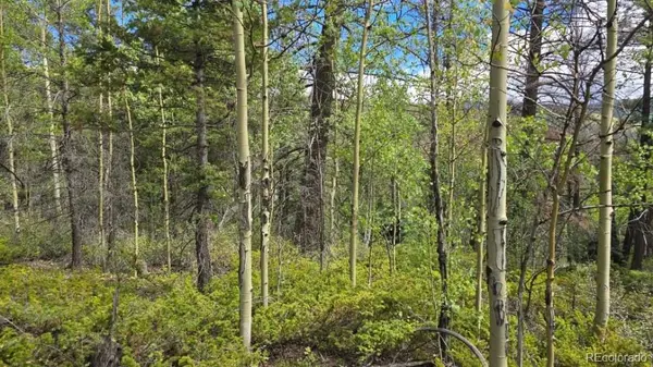 Lot 6269 Shioshita RD, San Luis, CO 81152