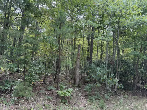 6 Tanner Drive, Monterey, TN 38574