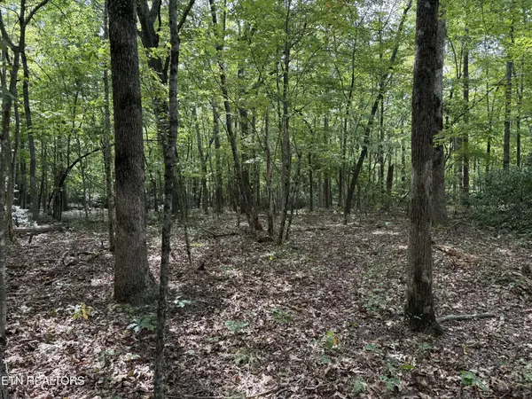 6 Tanner Drive, Monterey, TN 38574