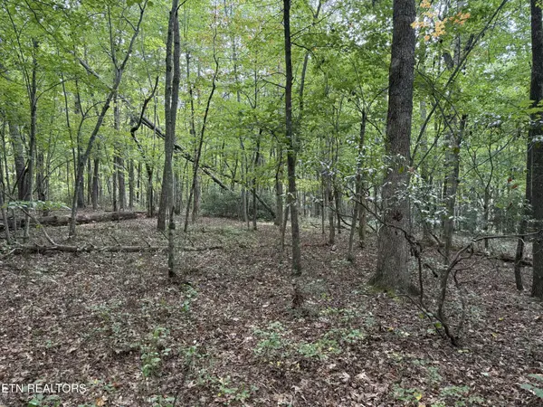 6 Tanner Drive, Monterey, TN 38574