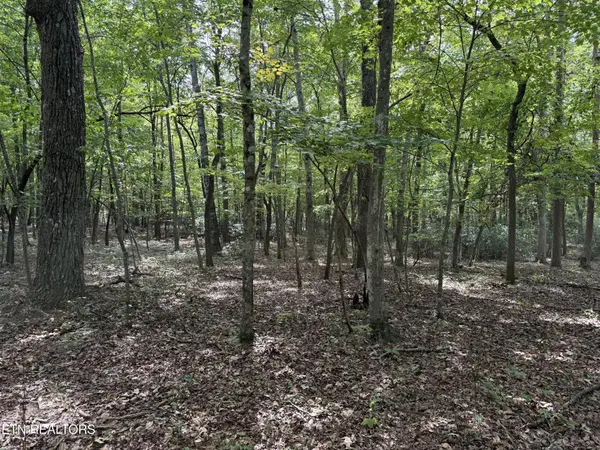 6 Tanner Drive, Monterey, TN 38574