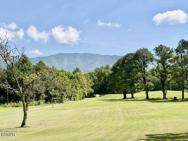 139 Martha McCarter Road, Gatlinburg, TN 37738