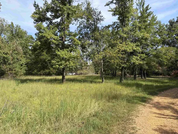 230 B AND K WAY, Adamsville, TN 38310