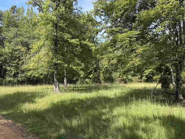 230 B AND K WAY, Adamsville, TN 38310