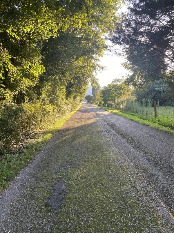 4880 Hills Creek RD, Mc Minnville, TN 37110