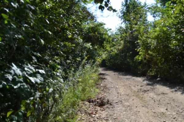 3 ac Rock Springs Rd, Celina, TN 38551
