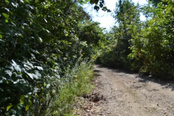 3 ac Rock Springs Rd, Celina, TN 38551