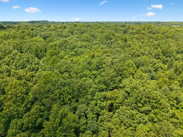 4647 Cowhorne Hollow Rd, Prospect, TN 38477