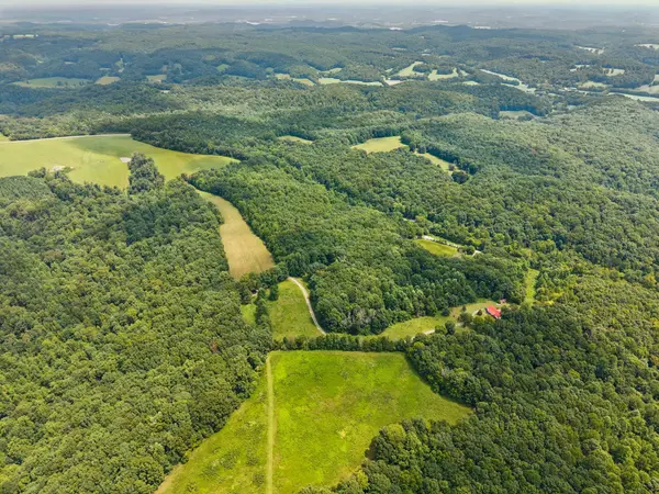 4647 Cowhorne Hollow Rd, Prospect, TN 38477