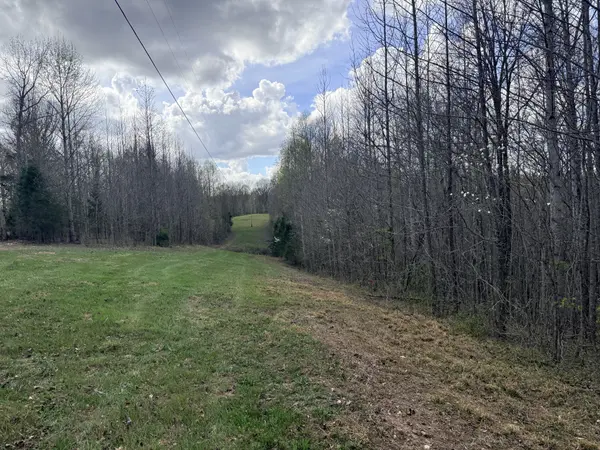 0 Sugar Tree Knob Rd, Liberty, TN 37095