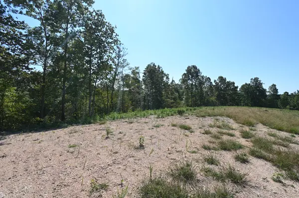 1738 Swindle Creek Rd, Linden, TN 37096