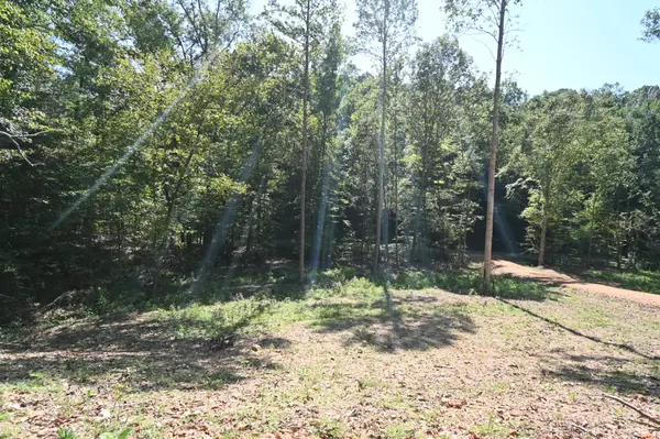 1738 Swindle Creek Rd, Linden, TN 37096