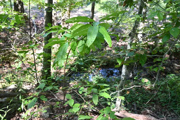 1738 Swindle Creek Rd, Linden, TN 37096