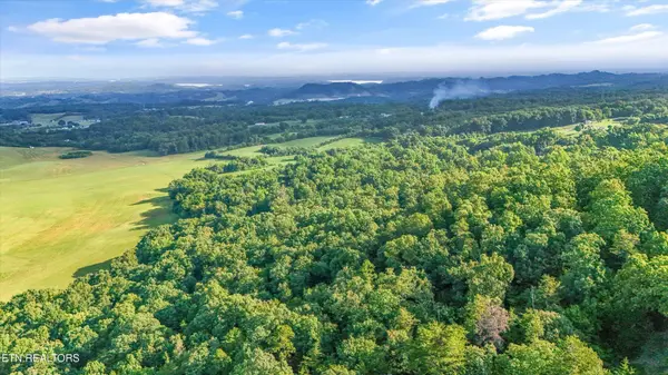3 Derrick Rd, Sevierville, TN 37876
