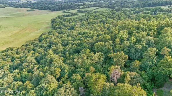 3 Derrick Rd, Sevierville, TN 37876