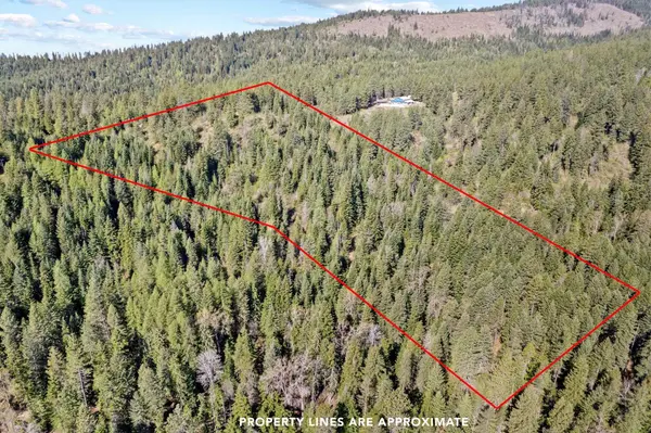 12703 S Alpine Fern Ln, Rockford, WA 99030