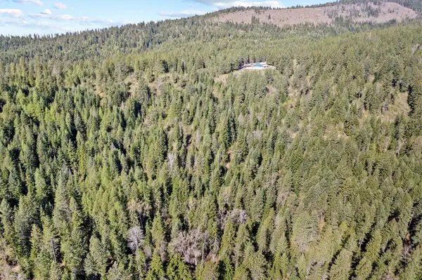 12703 S Alpine Fern Ln, Rockford, WA 99030