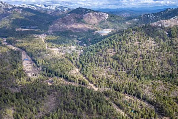 41XX Grouse Creek Rd, Loon Lake, WA 99148