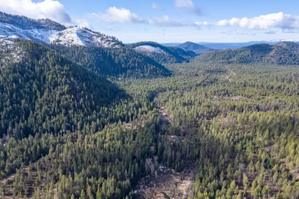 41XX Grouse Creek Rd, Loon Lake, WA 99148