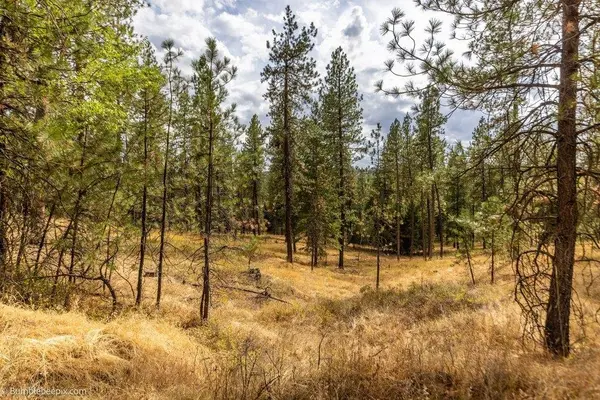 0 N Vista Cir #Lot 6, Colbert, WA 99005