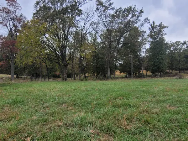 000 Hawknest TRL, Long Lane, MO 65590