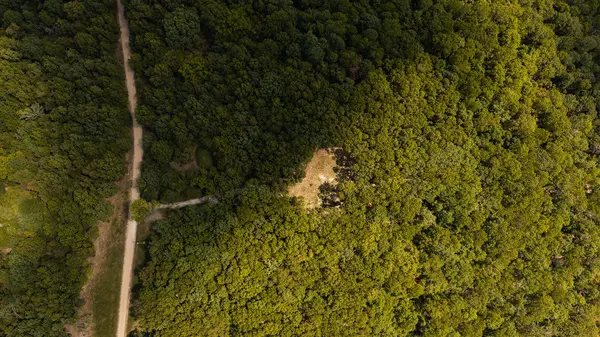 Tract Z Red Rock RD, Galena, MO 65656