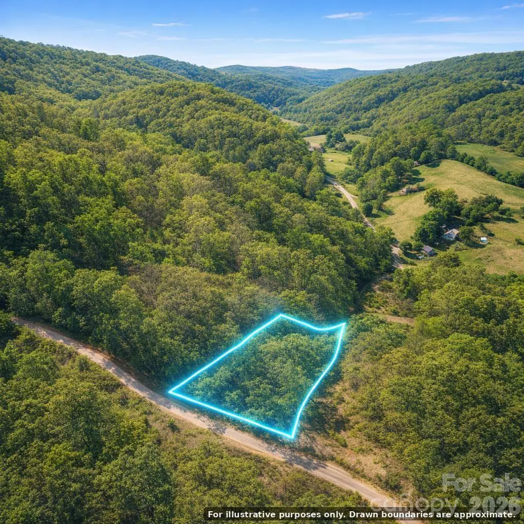 000 High Peak DR #2, Green Mountain, NC 28740