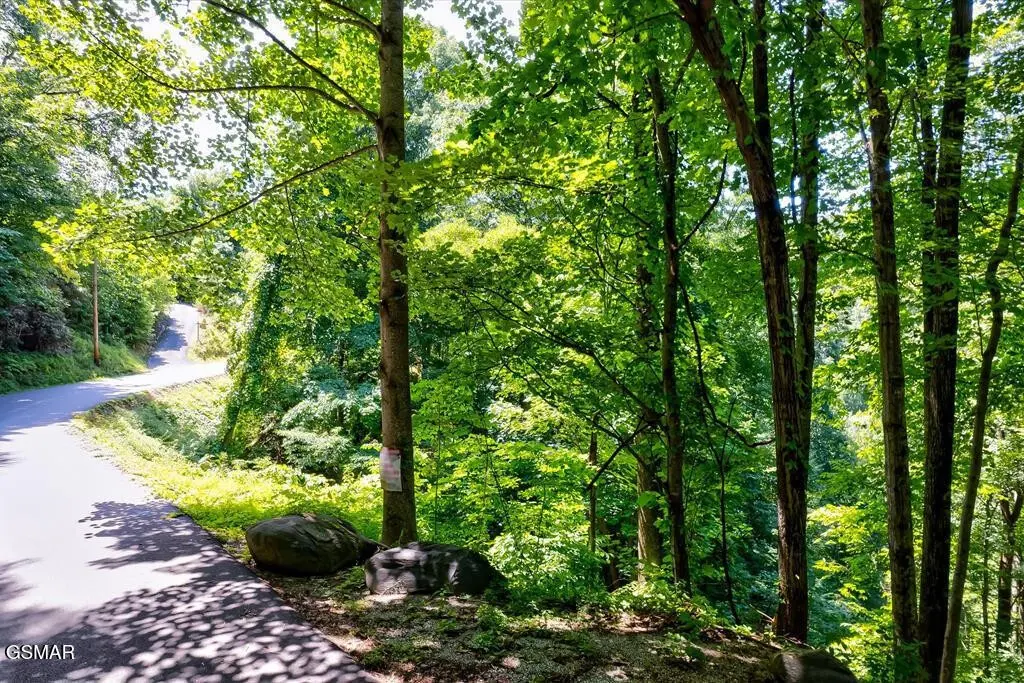 0 ski mtn, Gatlinburg, TN 37738