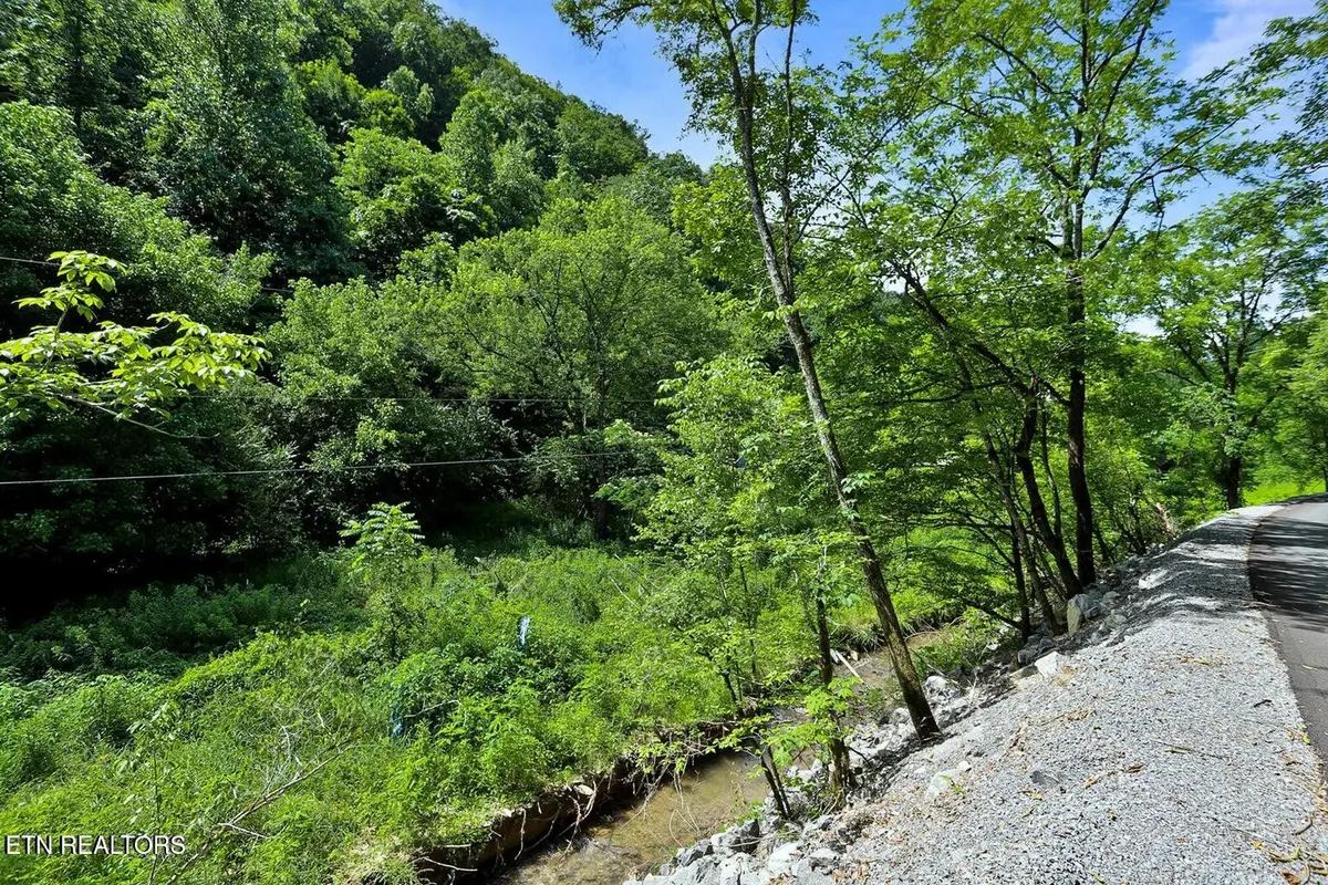 0 Caney Creek Rd, Pigeon Forge, TN 37863