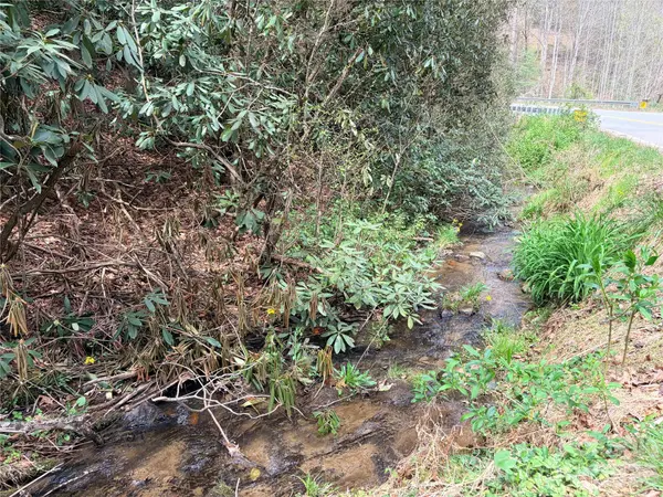 00 White Oak RD, Waynesville, NC 28785