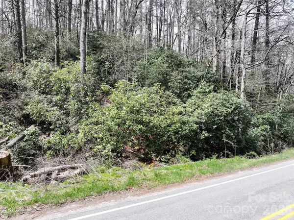 00 White Oak RD, Waynesville, NC 28785
