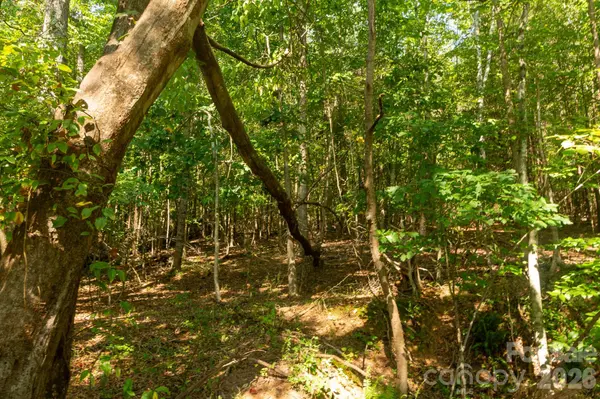 217 Ridgewood ST, Shelby, NC 28152
