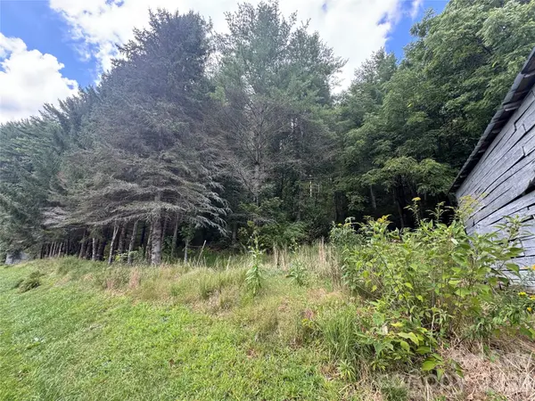 000 Puncheon Fork RD, Mars Hill, NC 28754