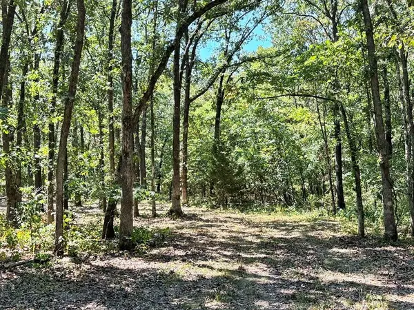 000 SE 871 RD, Collins, MO 64738