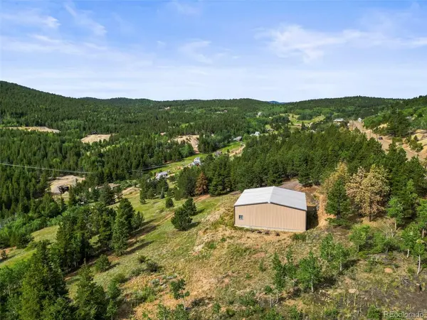 6660 Virginia Canyon, Central City, CO 80427