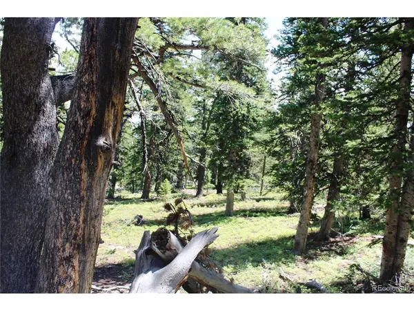 0 FS 412.1J, Black Hawk, CO 80422