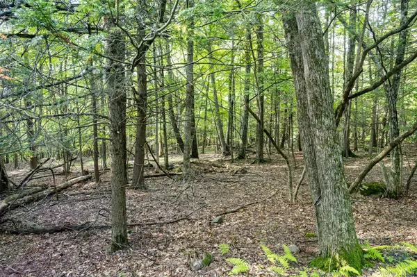 Lot 6 Mt Guardian RD, Bearsville, NY 12498