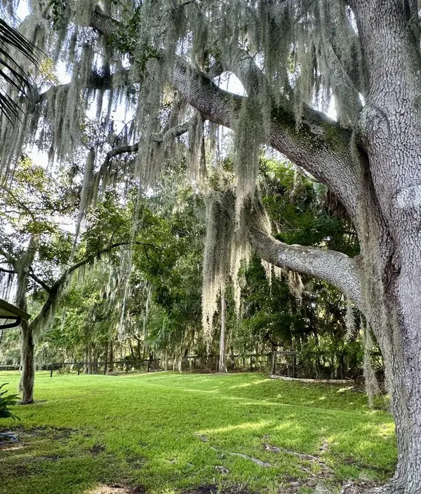 6800 NW HIGHWAY 320, Micanopy, FL 32667