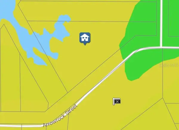ARROWROCK ST, Webster, FL 33597
