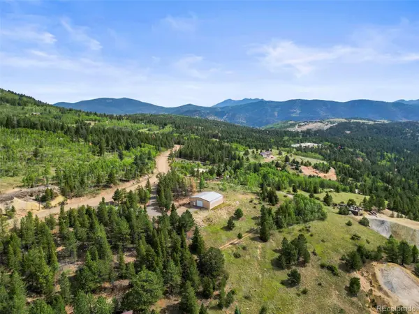 6660 Virginia Canyon RD, Central City, CO 80427
