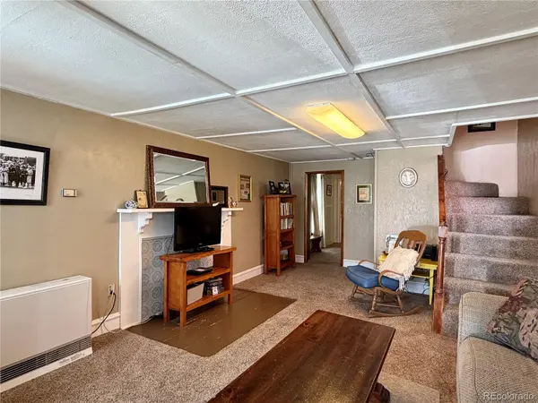 119 E 14th ST, Leadville, CO 80461